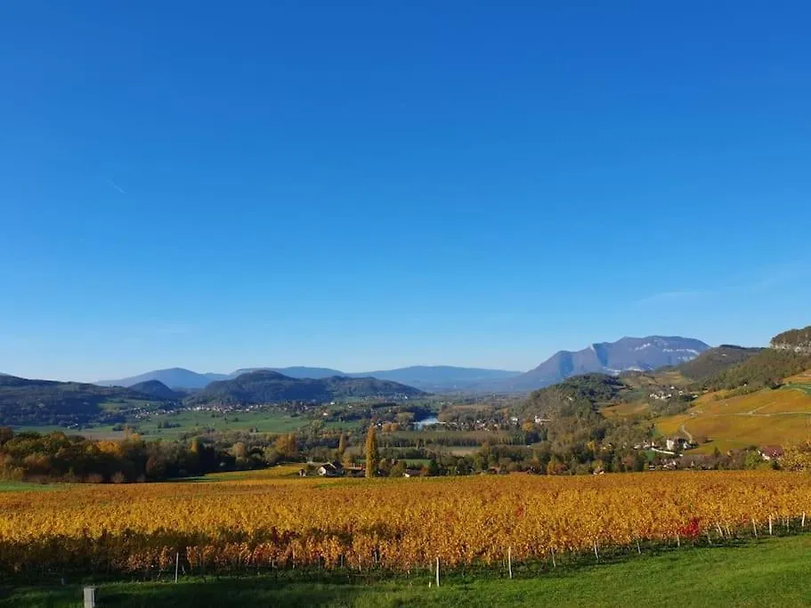 Feriehus Les Balcons De La Charve - Gite 4 Etoiles Jongieux Frankrig